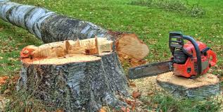 Best Emergency Tree Removal  in Hartville, OH